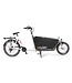 Gazelle Bakfiets Kruier