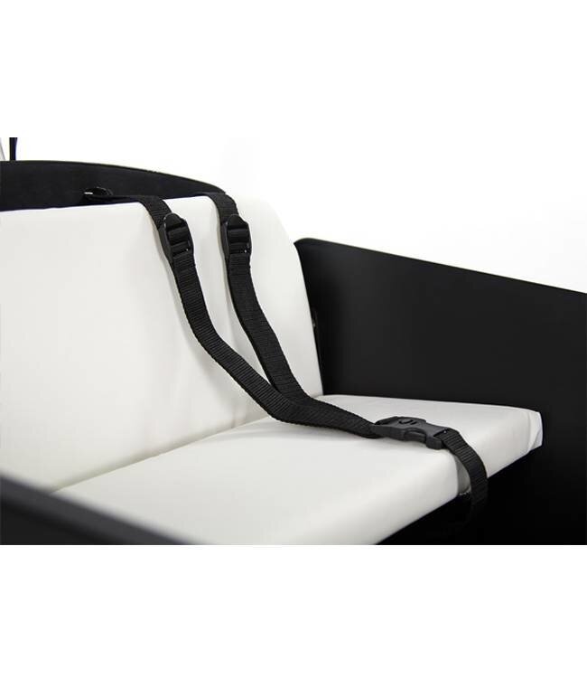 Gazelle Cargo bike Kruier