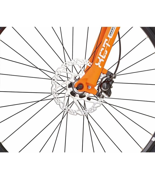 Gazelle REX oranje/wit