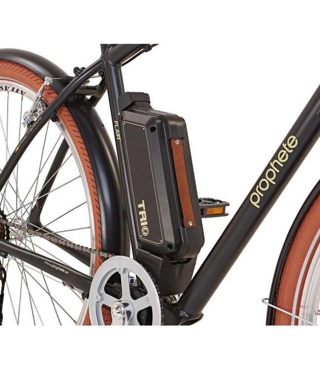 Selle Royal Prophete E-bike