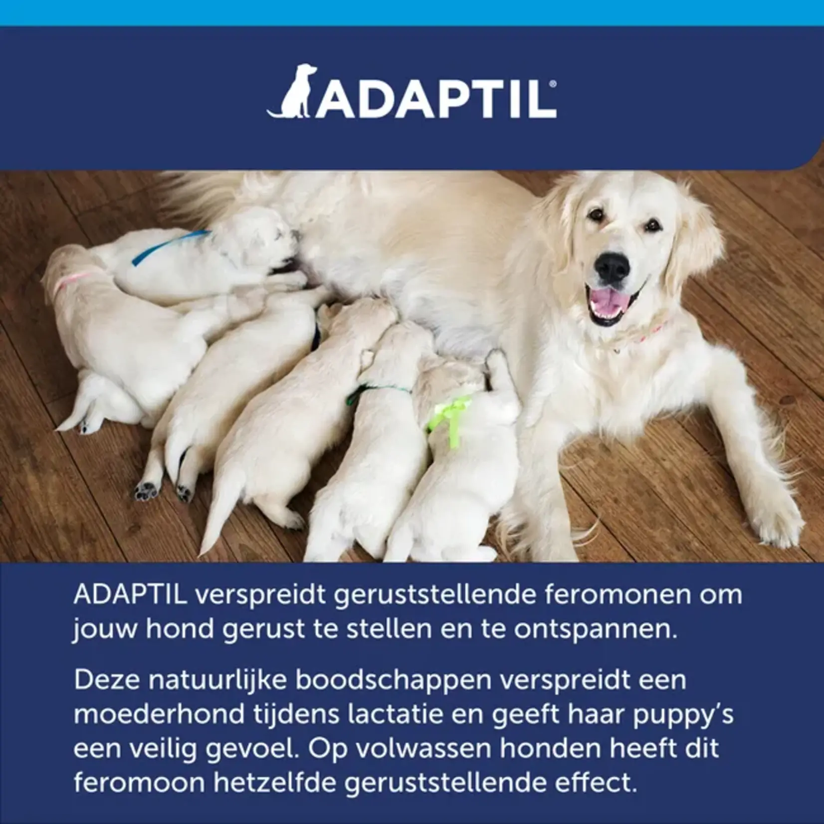 ADAPTIL Diffuseur Adaptil Calm + recharge 48ml.