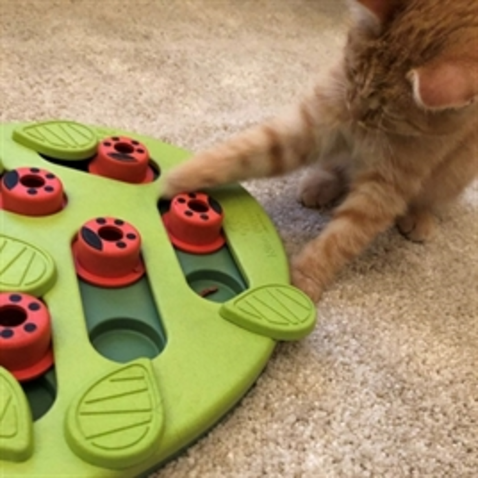NINA OTTOSSON PUZZLE & PLAY BUGGIN OUT GROEN 35X26X4 CM