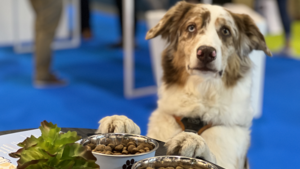 Hoe voeding het gedrag van je hond kan beïnvloeden