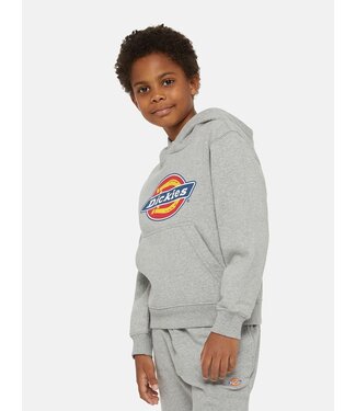 Dickies Icon Logo Hoodie Voor Kinderen