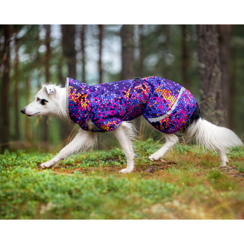 Pomppa SadePomppa Cosmos, duurzame lichtgewicht regenjas voor de hond