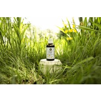 Solidago  Complex 50 ml