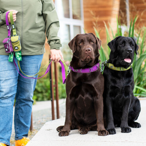 DOG Copenhagen Urban Explorer™ Halsband 3.0