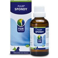Spondy
