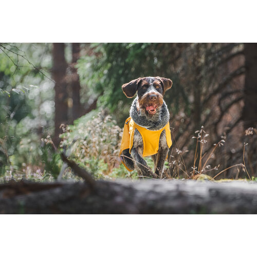 Pomppa PerusPomppa Curry,  gevoerde lichtgewicht regenjas voor de hond  - Copy - Copy