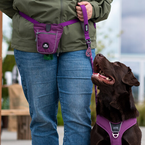 DOG Copenhagen Flexi™ Poop Bag Holder