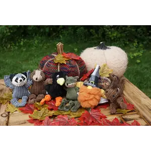HuggleHounds Apple Dumplin' Fall Wee Huggles® Plush Dog Toys (6 stuks)