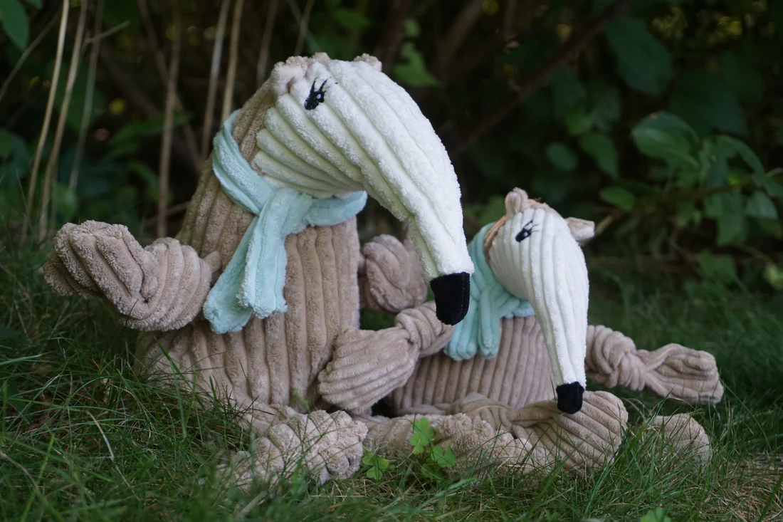 Hugglehounds-nibblet-anteater-knottie