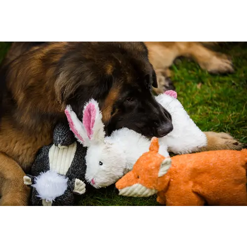 HuggleHounds Squooshie™ Bunny