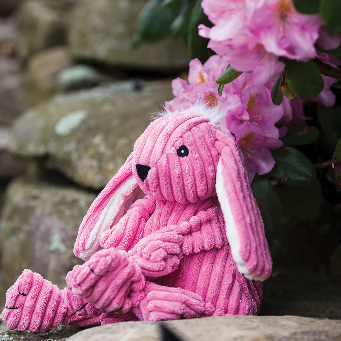 hugglehounds-bitsy-bunny-knottie