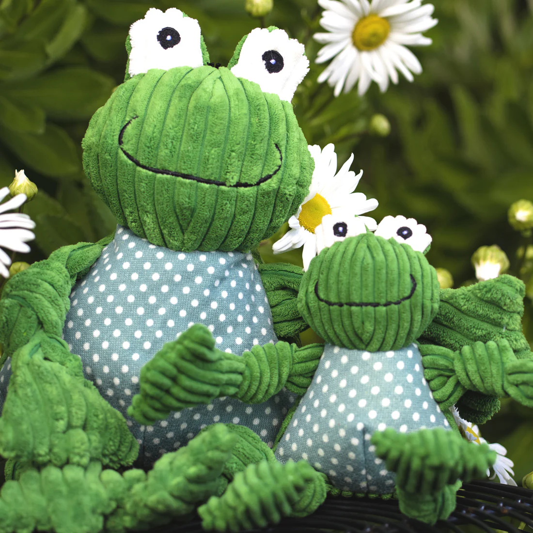 hugglehounds-fergie-frog-knottie
