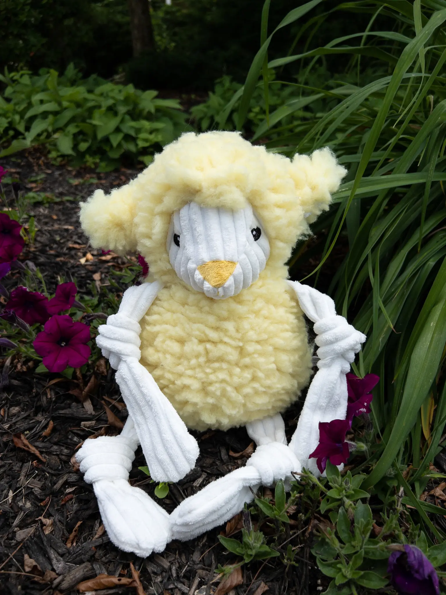 hugglehounds-sweet-pea-sheep-hugglefleece-knottie