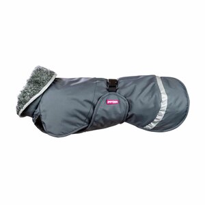 Pomppa PerusPomppa Harness Graphite