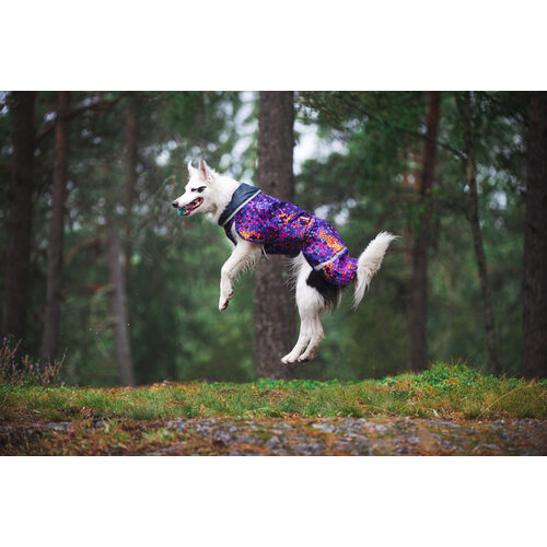 Pomppa SadePomppa Cosmos, duurzame lichtgewicht regenjas voor de hond