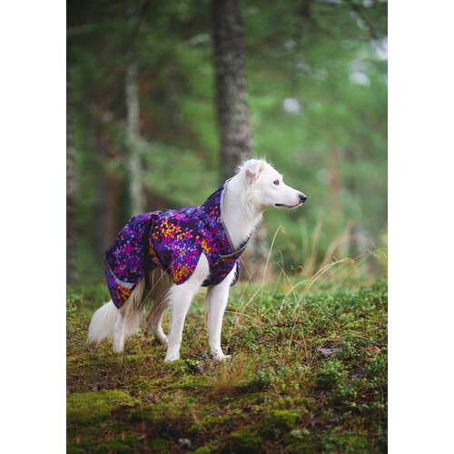 Pomppa SadePomppa Cosmos, duurzame lichtgewicht regenjas voor de hond