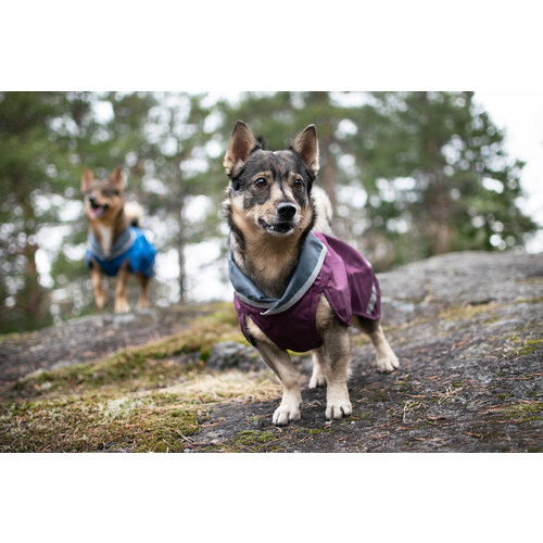 Pomppa SadePomppa Plum, duurzame lichtgewicht regenjas voor de hond