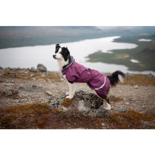 Pomppa SadePomppa Plum, duurzame lichtgewicht regenjas voor de hond