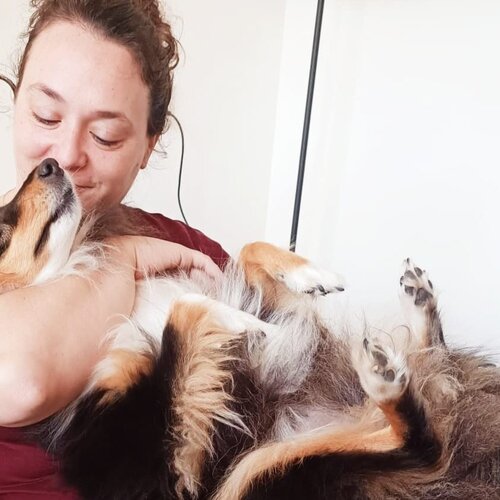 Osteopaat voor honden en katten