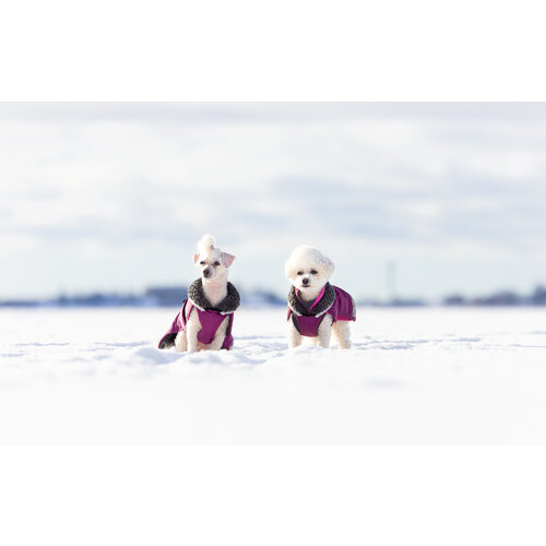 Pomppa PerusPomppa Plum,  gevoerde lichtgewicht regenjas voor de hond Pomppa PerusPomppa Plum,  gevoerde lichtgewicht regenjas voor de hond