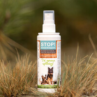 STOP! Droogshampoo