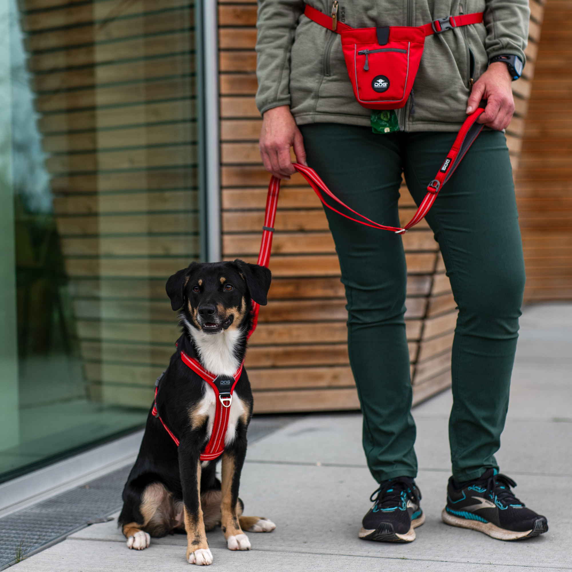 Lifestyle-go-explorer-treat-bag