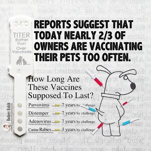 VacciCheck Titeren Hond 7 maart 2026