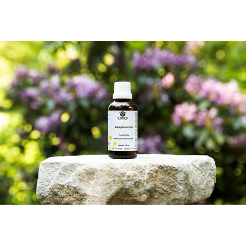 De Groene Os Adaptonicum Hond en Kat