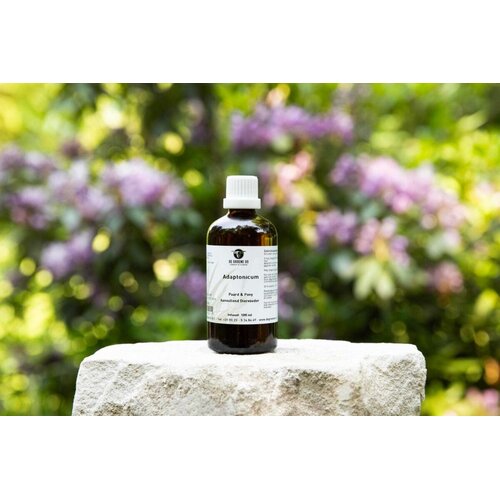 De Groene Os Adaptonicum Hond en Kat