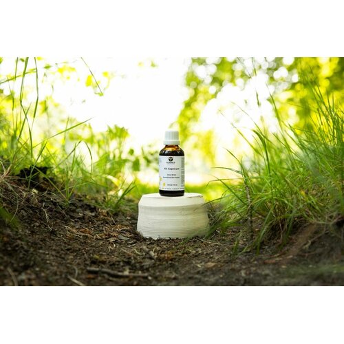 De Groene Os All Septicum