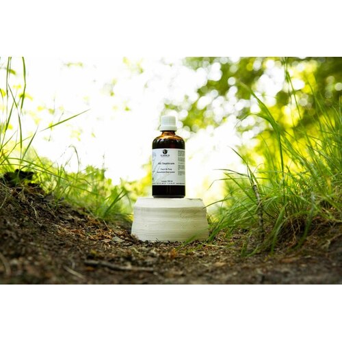 De Groene Os All Septicum