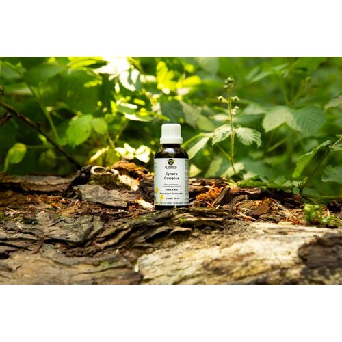 De Groene Os Cynara Complex De Groene Os Cynara Complex