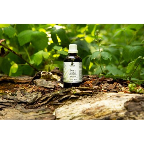 De Groene Os Cynara Complex De Groene Os Cynara Complex