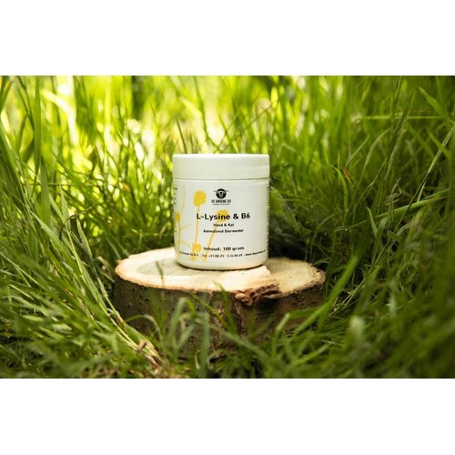 De Groene Os L-Lysine en B6 100 gram