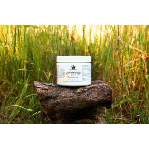 De Groene Os Multivitaminen & Mineralen Complex Basis