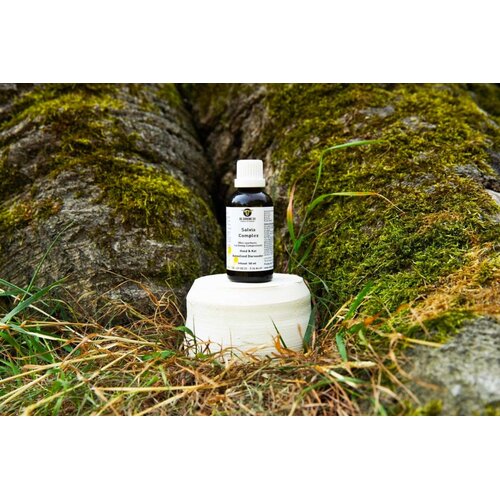 De Groene Os Salvia Complex