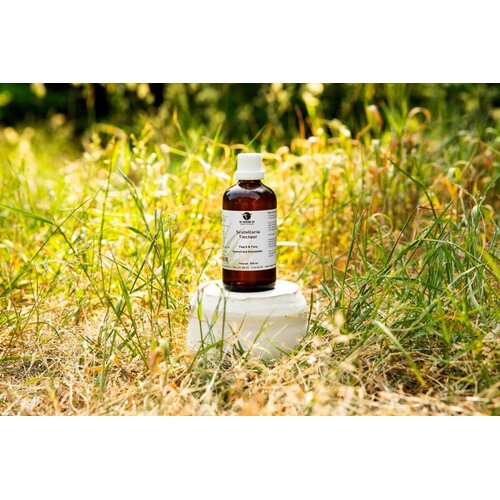 De Groene Os Scutellaria Tinctuur Hond en Kat De Groene Os Scutellaria Tinctuur Hond en Kat