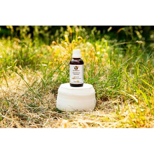 De Groene Os Scutellaria Tinctuur Hond en Kat De Groene Os Scutellaria Tinctuur Hond en Kat