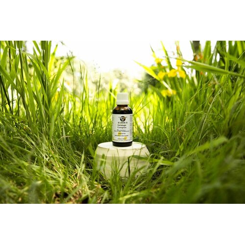 De Groene Os Solidago  Complex 50 ml