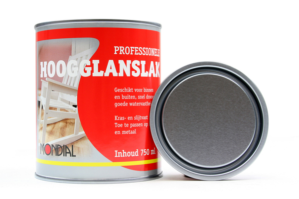 Mondial Mondial Hoogglans Lak Aluminium 750ml Mondial Mondial Hoogglans Lak Aluminium 750ml