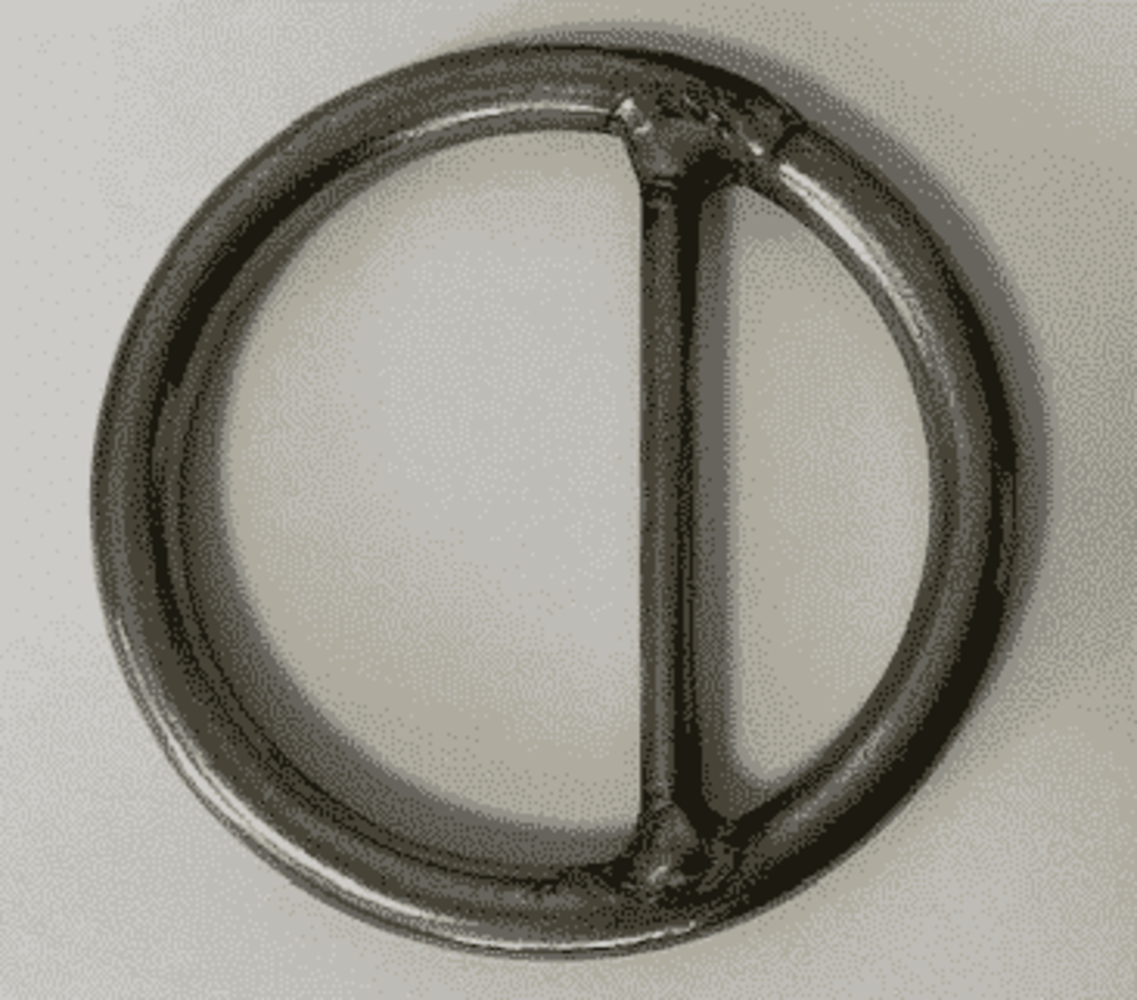 RVS Ring 100x12 met Dam RVS Ring 100x12 met Dam