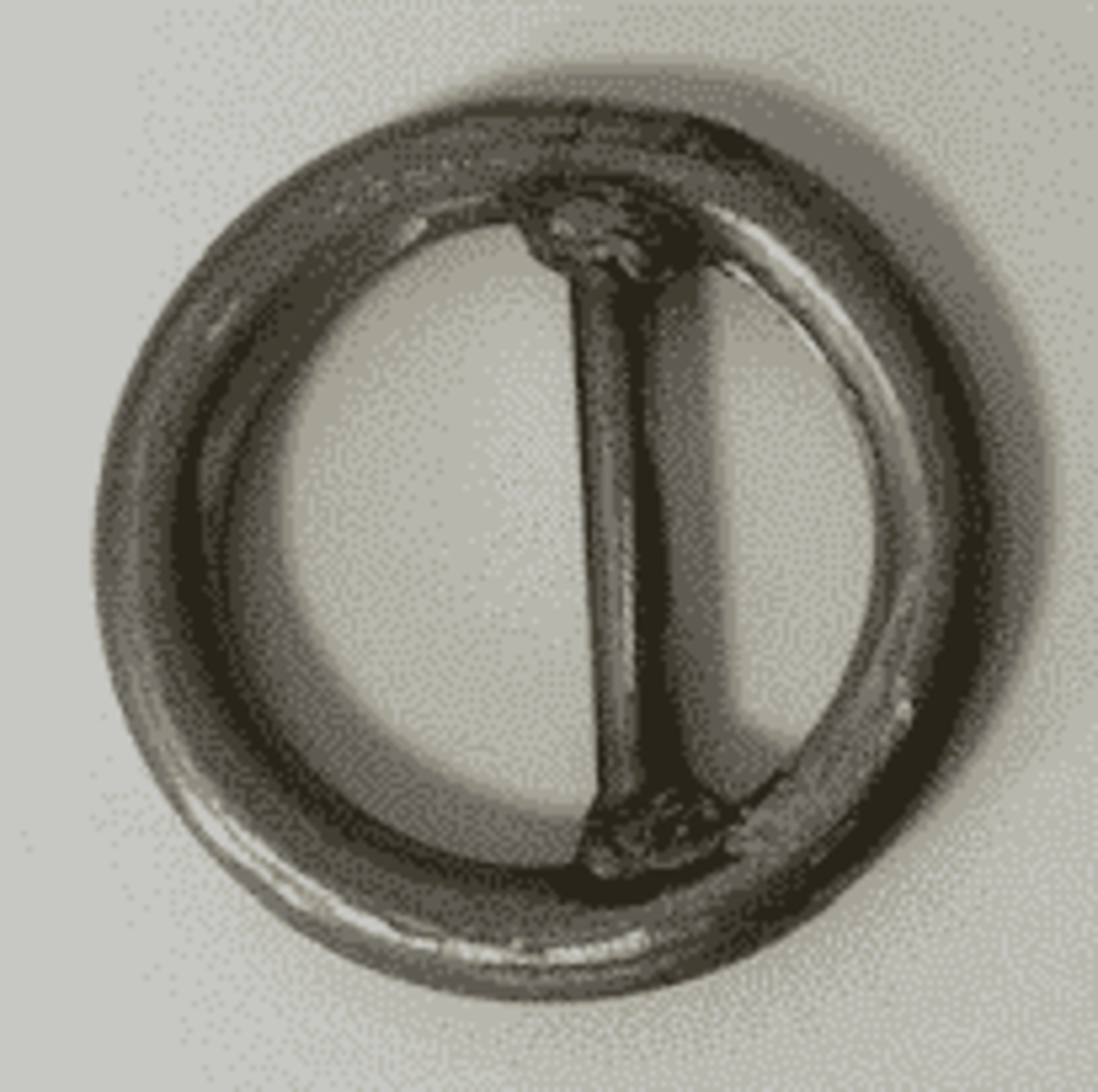 RVS Ring 60x12 met Dam RVS Ring 60x12 met Dam