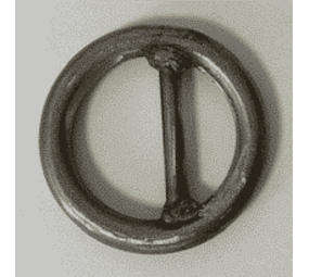 RVS Ring 60x12 met Dam RVS Ring 60x12 met Dam