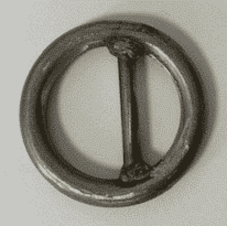 RVS Ring 60x12 met Dam RVS Ring 60x12 met Dam