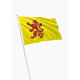 DVC Zuid-Hollandse vlag-Dvc kwaliteit DVC Zuid-Hollandse vlag-Dvc kwaliteit