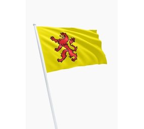 DVC Zuid-Hollandse vlag-Dvc kwaliteit DVC Zuid-Hollandse vlag-Dvc kwaliteit