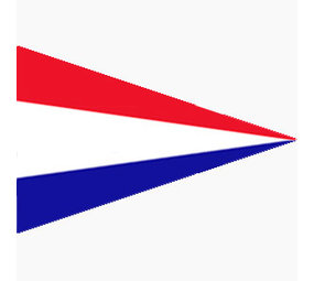 DVC Puntvlag Rood-wit-blauw DVC Puntvlag Rood-wit-blauw